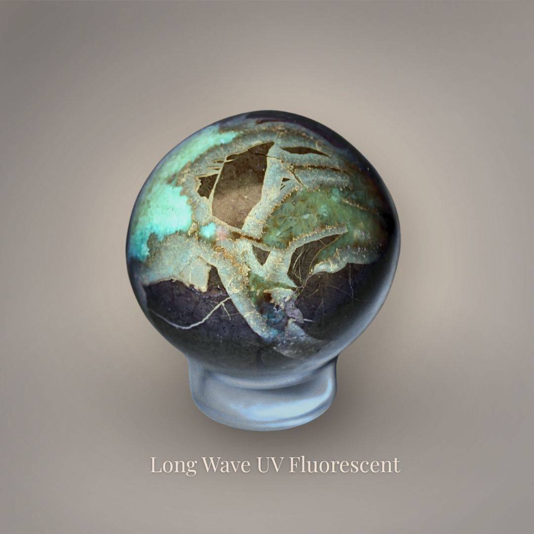 Septarian sphere under long-wave UV light displaying blue-green fluorescence across portions of its mineralized fracture network.