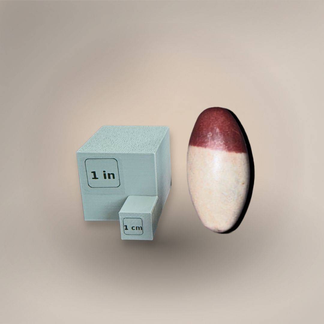 Shiva Lingam mini naturally shaped stone, displayed with a size scale reference of one inch and one centimeter.  The stone showcasing its compact size and unique maroon-beige pattern for spiritual vitality.
