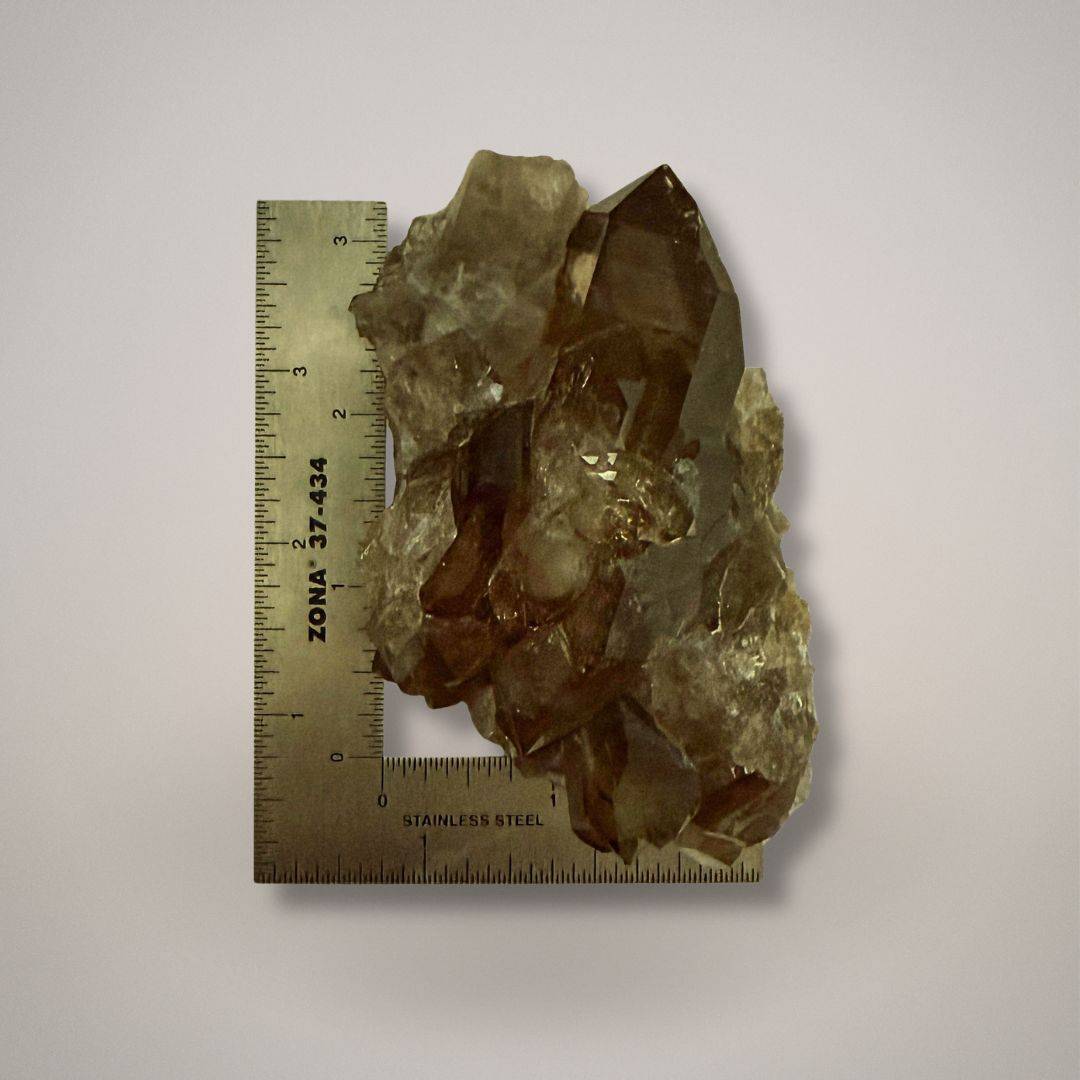 Smoky Quartz Specimen for Grounding and Protection with Ruler for Size