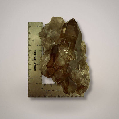 Smoky Quartz Specimen for Grounding and Protection with Ruler for Size