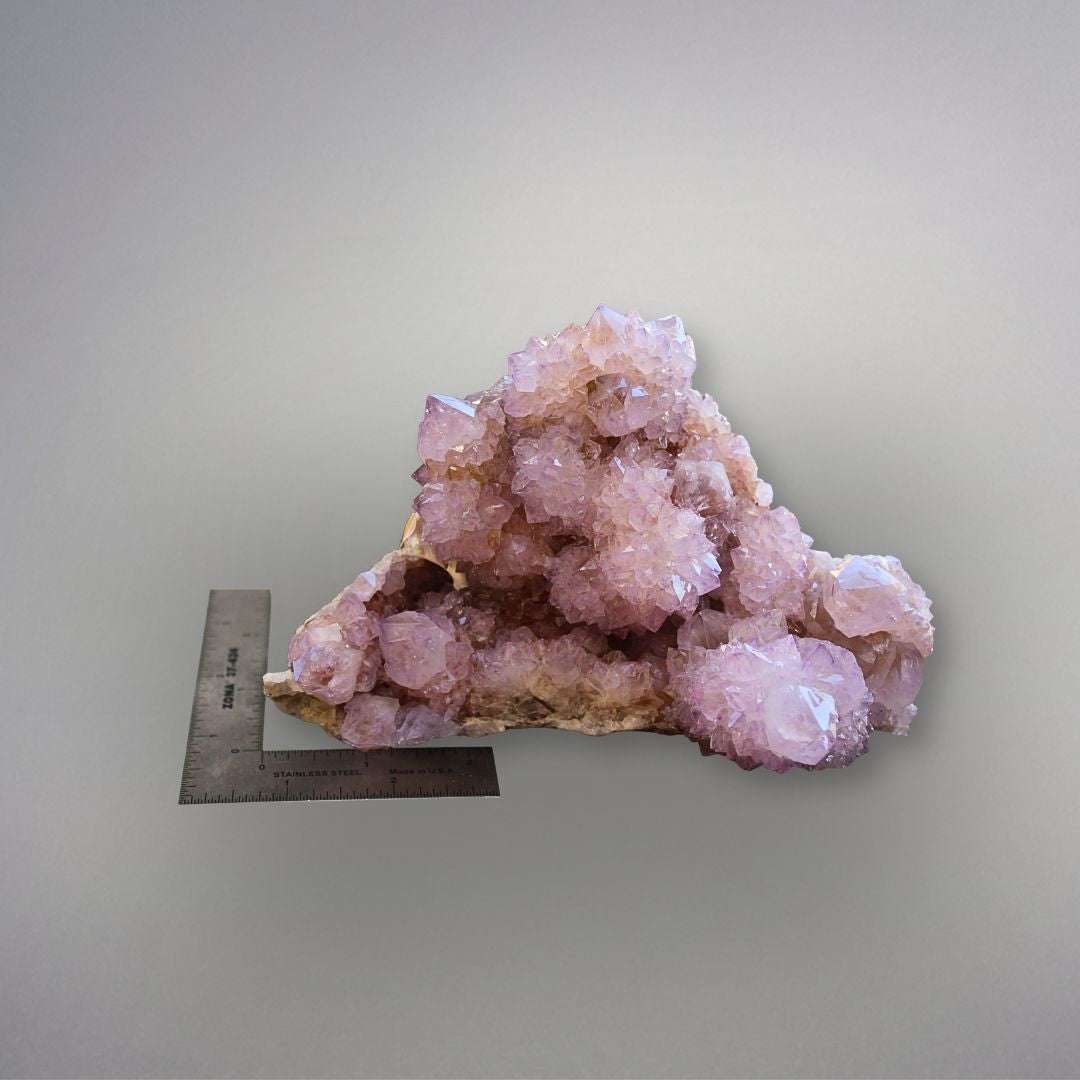 Large Amethyst Spirit Quartz cluster from South Africa shown with ruler for scale, measuring 195 mm across.