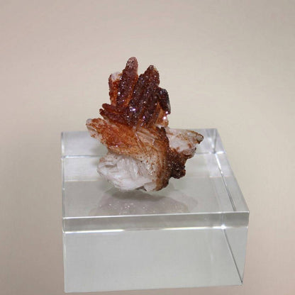 Vanadinite over Barite specimen from Morocco on clear acrylic display stand