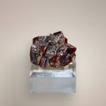 Vanadinite cluster specimen from Morocco on beveled acrylic display stand