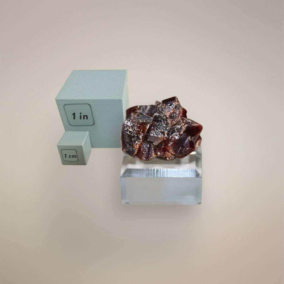 Vanadinite cluster specimen from Morocco shown with 1 inch and 1 cm scale cubes