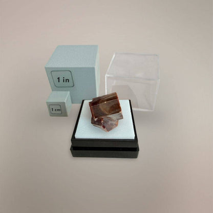 Vanadinite thumbnail specimen from Morocco shown with 1 inch and 1 cm scale cubes