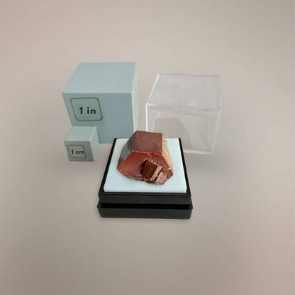 Vanadinite thumbnail specimen from Morocco shown with 1 inch and 1 cm scale cubes
