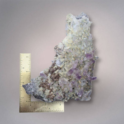 Scale view of Mexico Veracruz Amethyst cluster beside rulers showing the approximately 5.91-inch cabinet-size specimen.