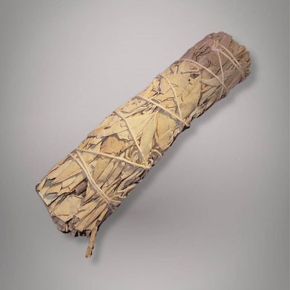 Six-inch white sage bundle from Peru with dried pale sage leaves hand tied with natural cord.