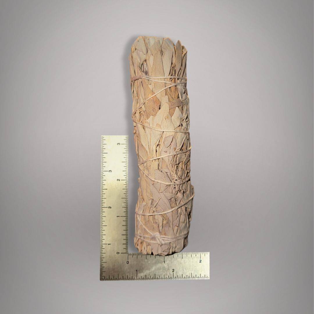 Hand-bundled Peruvian white sage beside rulers showing the approximately 6-inch length and compact bundled form.
