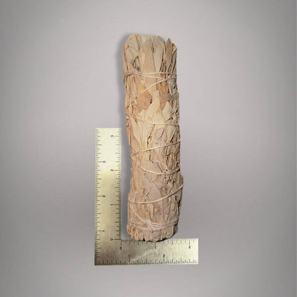 Hand-bundled Peruvian white sage beside rulers showing the approximately 6-inch length and compact bundled form.