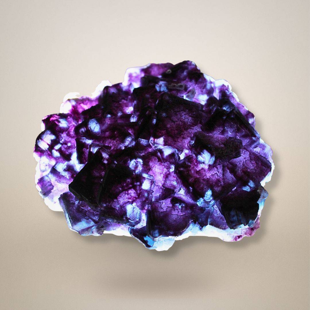 Fluorite cluster from China showing rich purple translucent cubic crystals and internal growth textures illuminated from behind.