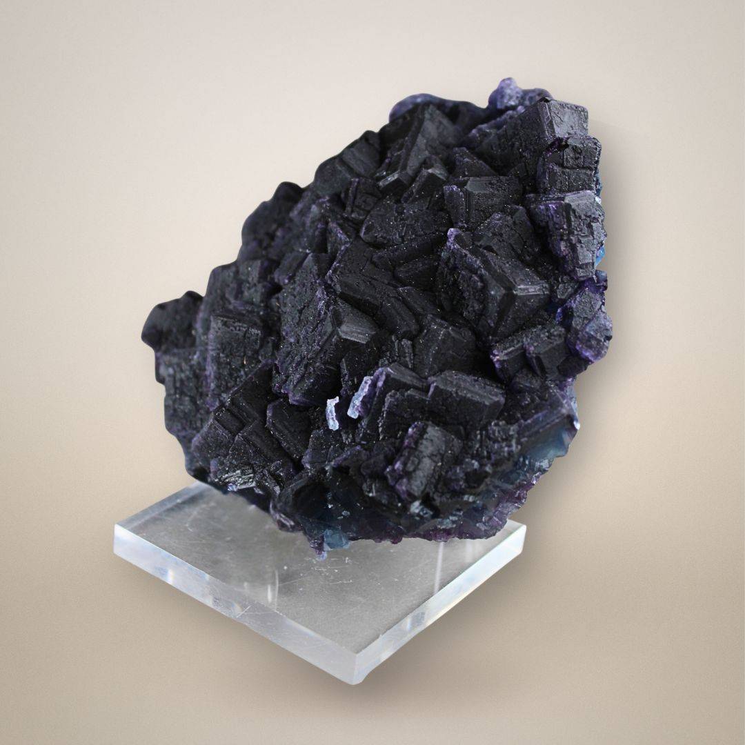 Dark purple stepped cubic fluorite crystals from China forming a densely intergrown cluster displayed upright on a clear acrylic stand.