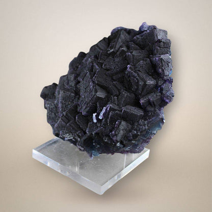 Dark purple stepped cubic fluorite crystals from China forming a densely intergrown cluster displayed upright on a clear acrylic stand.