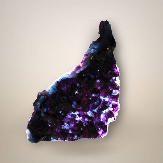 Backlit Chinese fluorite specimen revealing translucent violet and blue zones beneath a dark, angular arrangement of overlapping cubic crystals.