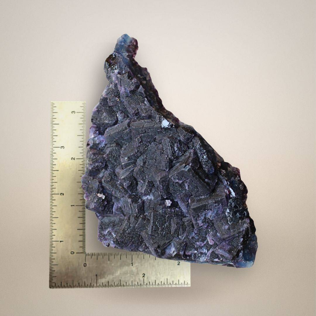 Chinese purple fluorite cluster displayed beside an inch ruler, showing its elongated triangular formation and approximately 6.69-inch maximum dimension.