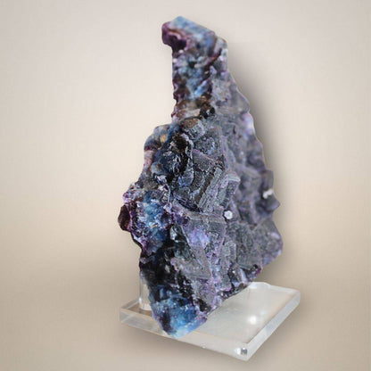 Chinese fluorite cluster shown in profile on a clear acrylic stand, revealing dark purple stepped cubic crystals and translucent blue-violet edges.